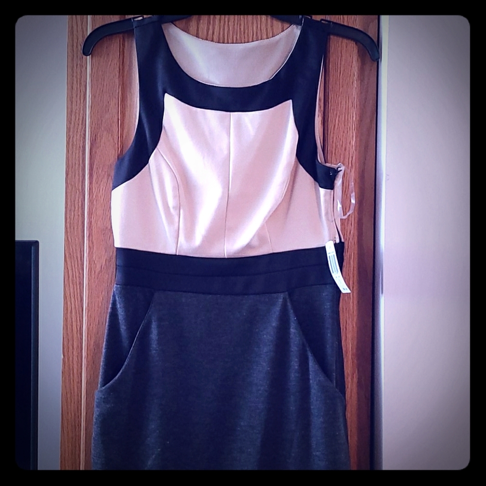 Teeze Me Dress